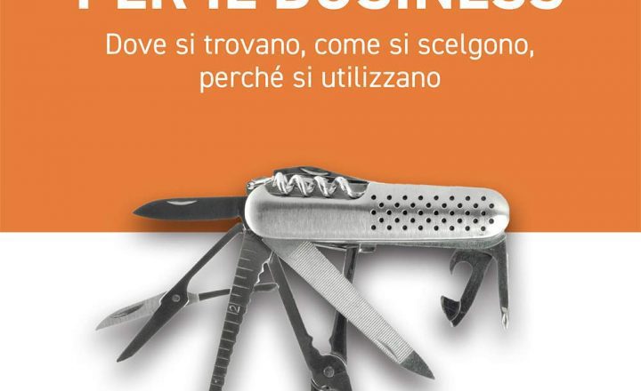 Copertina libro Software e tool per il business di Bernardo Mannelli.